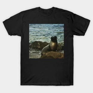 Baby Seal Cape Bridgewater T-Shirt